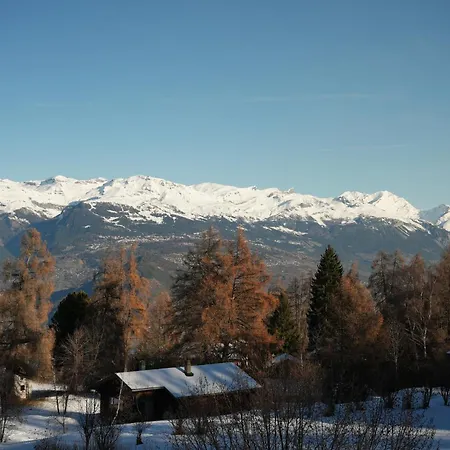 Chalet De La Tour Mayens De Sion 4 Vallees *